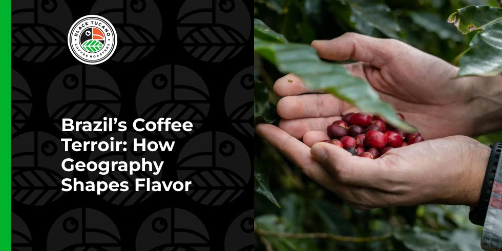 Brazil’s Coffee Terroir: How Geography Shapes Flavor