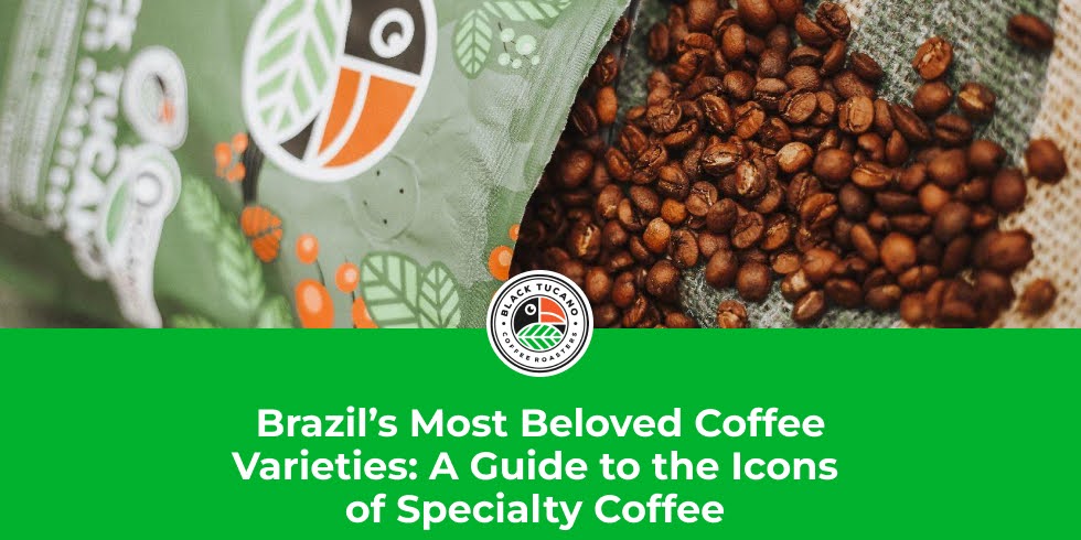Brazil’s Most Beloved Coffee Varieties: A Guide to the Icons of Specialty Coffee