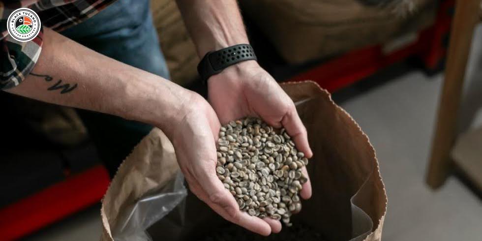 Coffee as a Functional Beverage: Natural Energy, Focus, and Performance