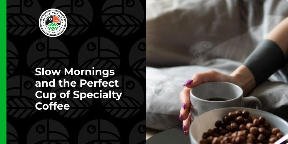 Slow Mornings and the Perfect Cup of Specialty Coffee