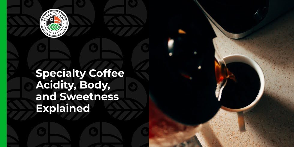 Specialty Coffee Acidity, Body, and Sweetness Explained